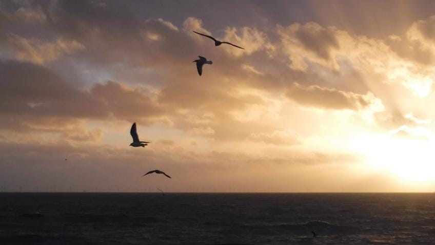 As the Winds and Waters Are