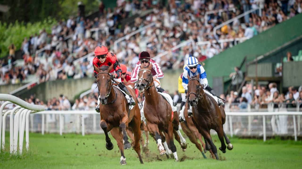 Copa de Oro de carreras de caballos