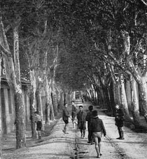 El Paseo de los Plátanos: el antiguo chic zaragozano