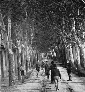 El Paseo de los Plátanos: el antiguo chic zaragozano