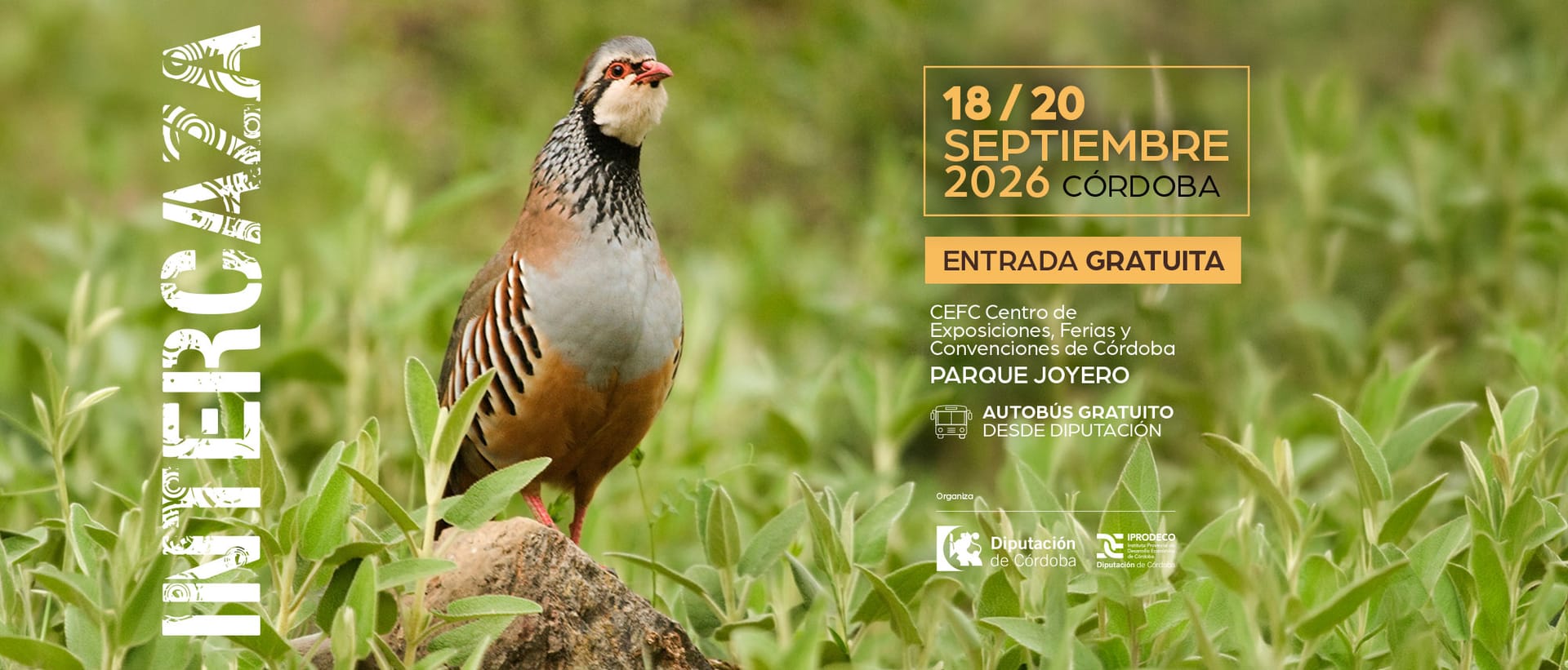Intercaza 2026: caza, naturaleza y Premios Podenquero