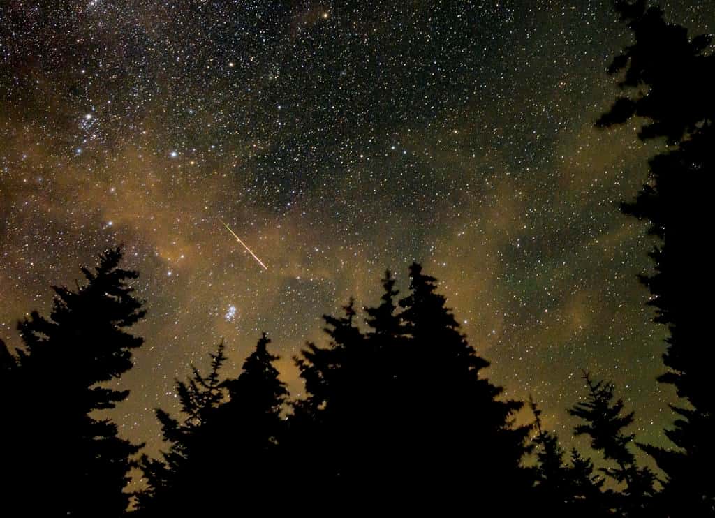 Perseids 2026: when and how to catch the peak