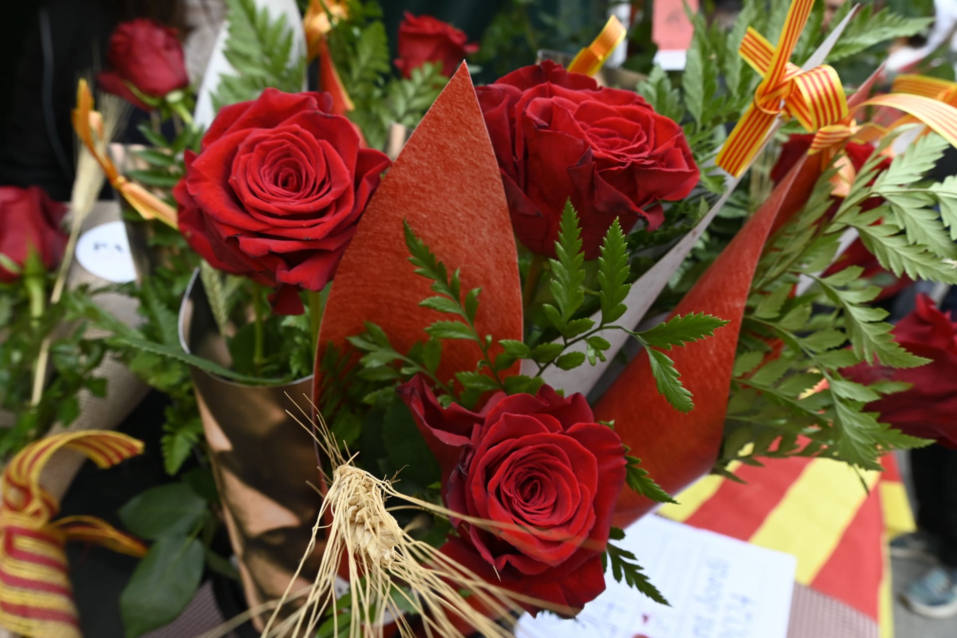 Sant Jordi en Cornellà: libros, rosas y tres pases