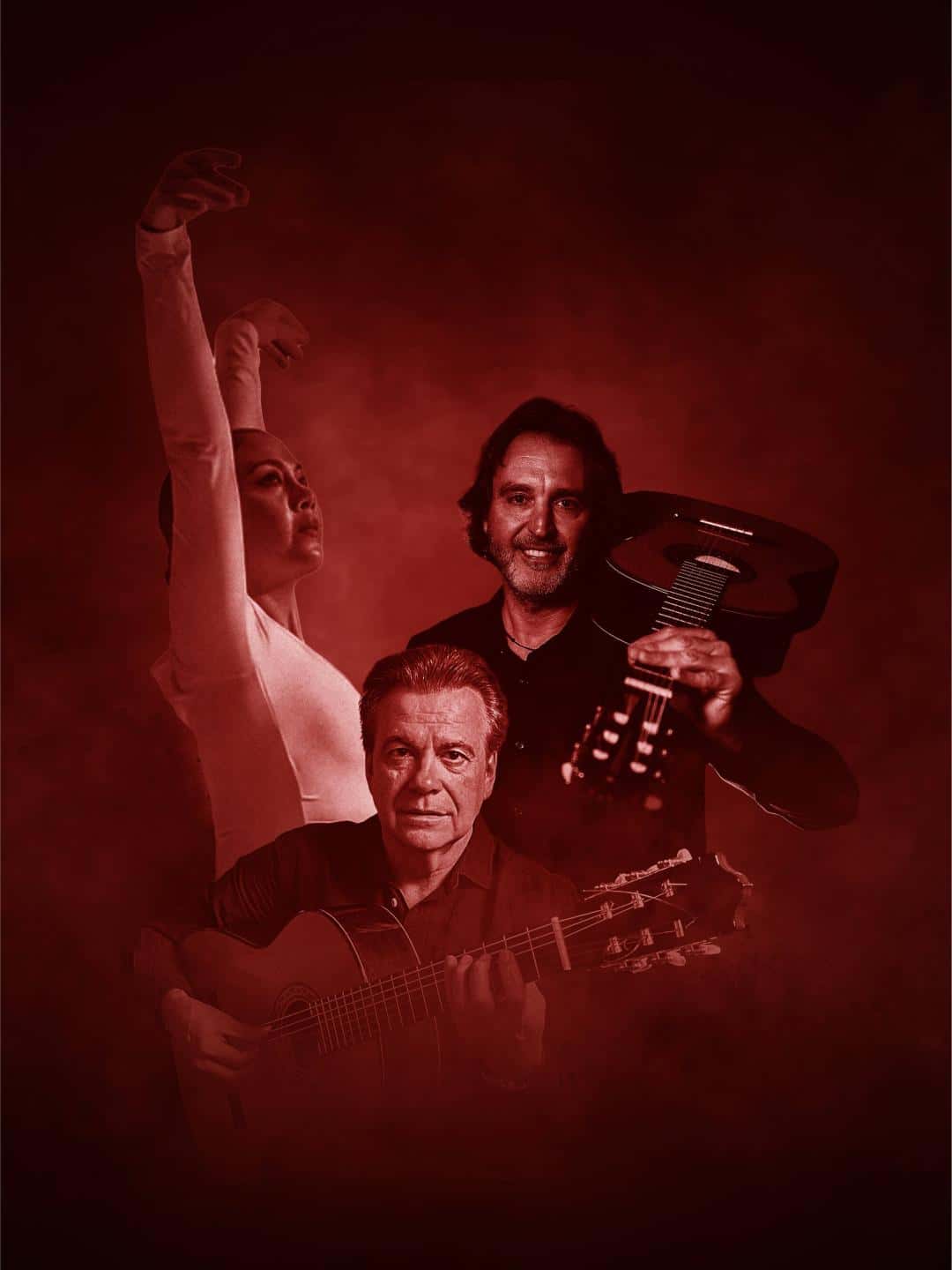Flamenco Intimo by Mediterranean Guitar