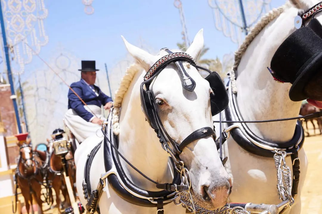 La Parada Hípica llena Jerez el viernes 18 de septiembre