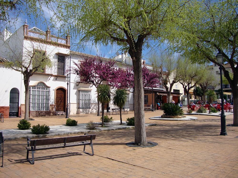 Mollina: vino, sierra y patrimonio