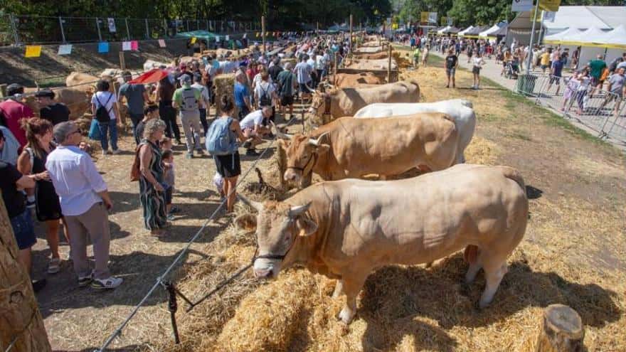 Autentika 2025: razas autóctonas en el parque del Runa