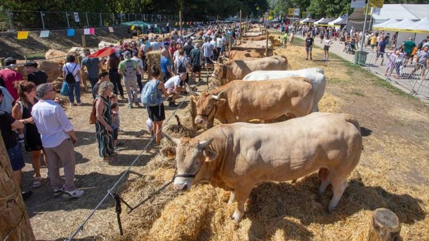 Autentika 2025: razas autóctonas en el parque del Runa