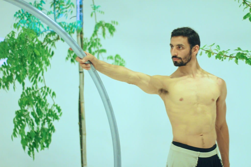 De Neanderthal a Sapiens