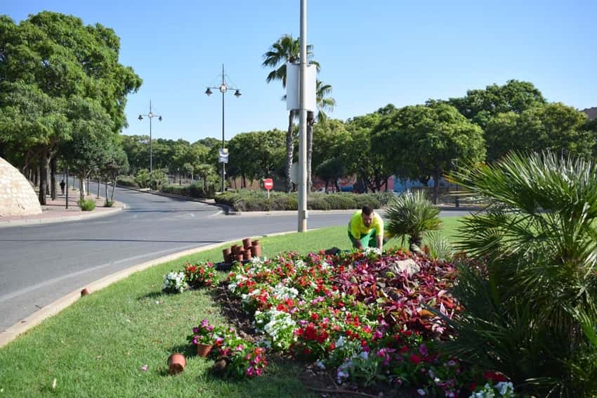 Cartagena se llena de flores para sus fiestas