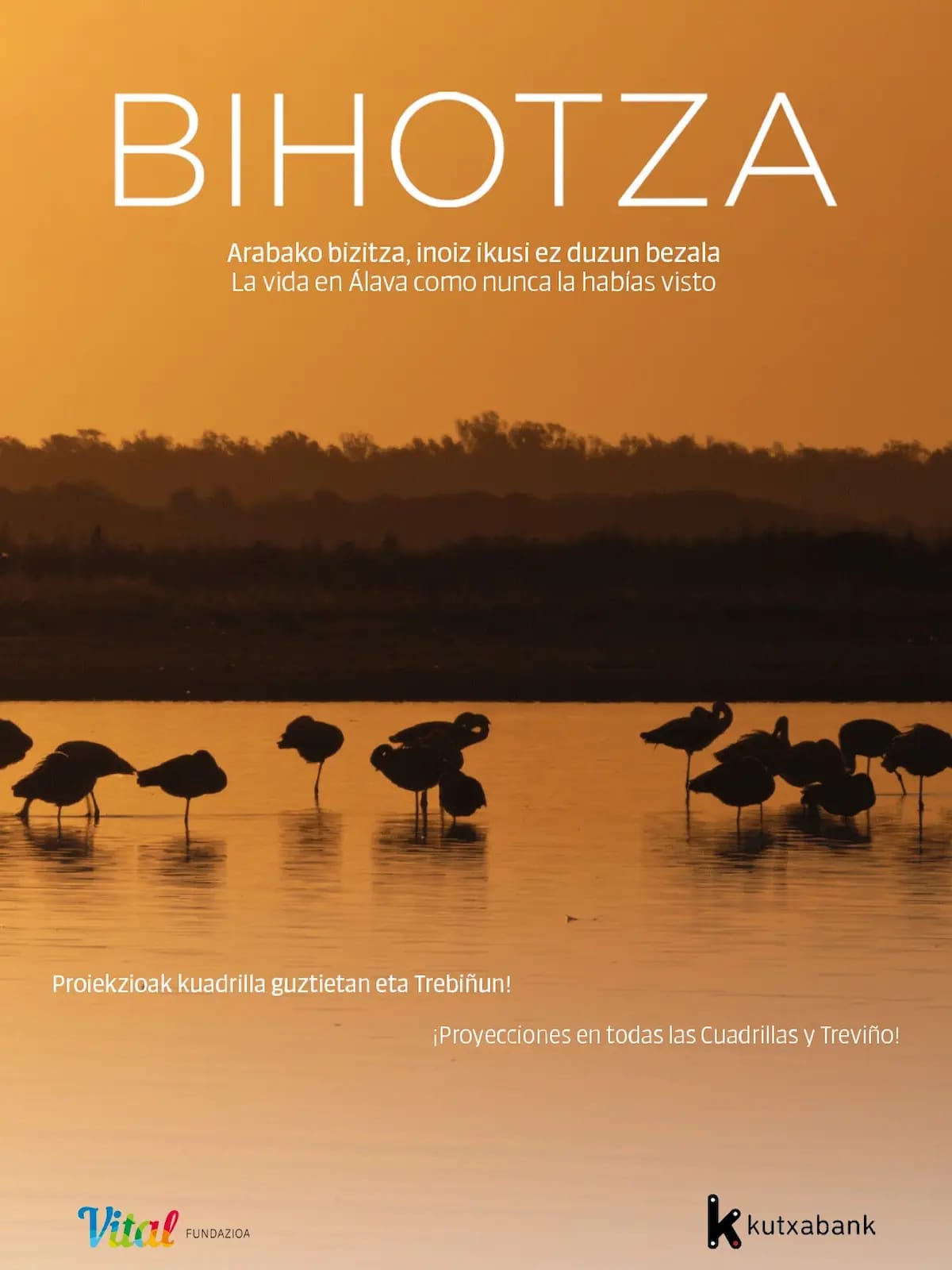 Bihotza. Película documental