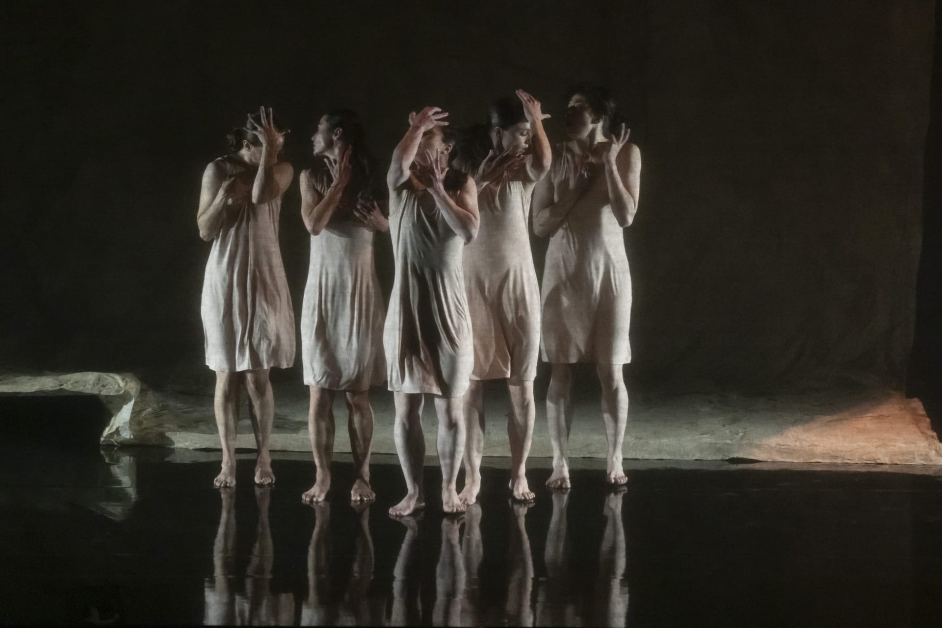 Las hijas de Bernarda - Taiat Dansa