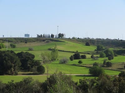La Dehesa de Majadahonda, nuevo punto de observación