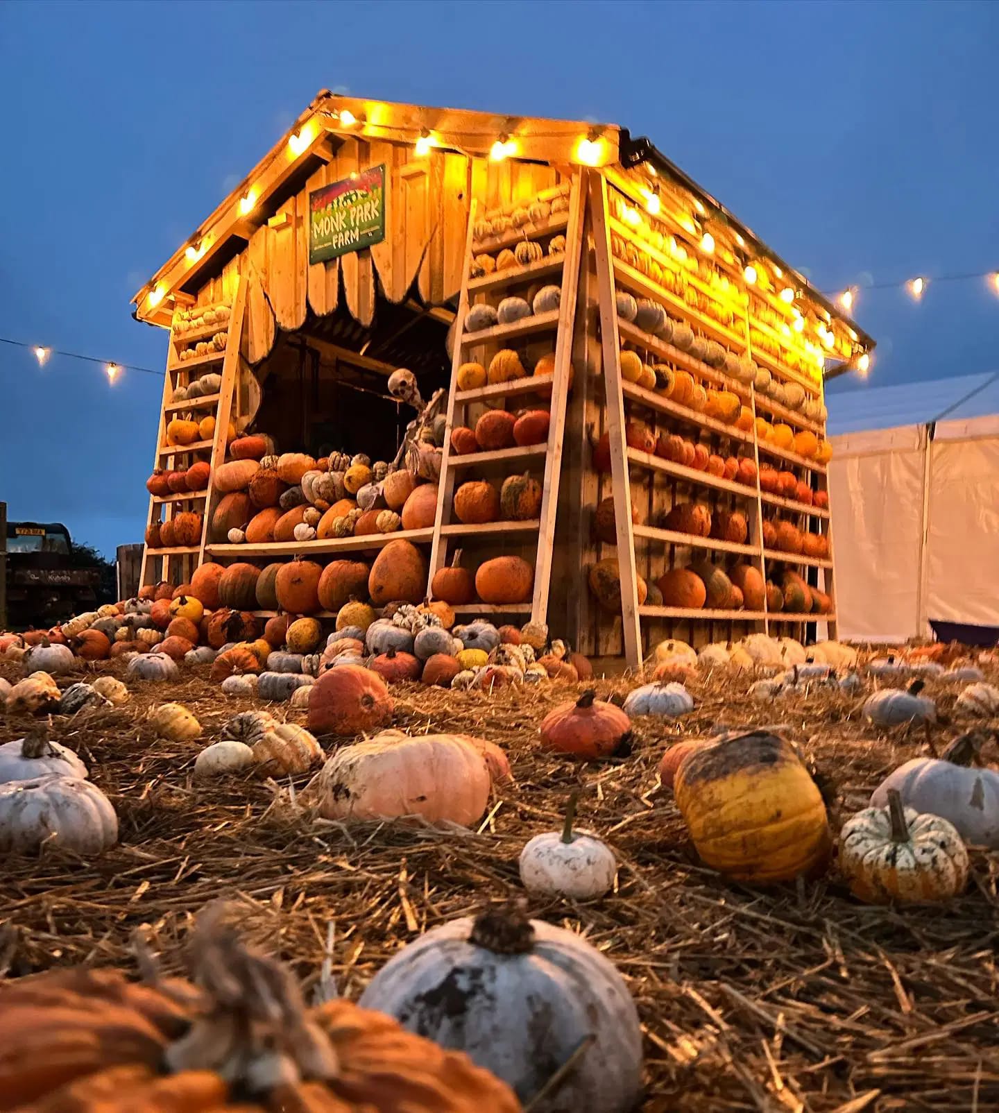 Great Yorkshire Pumpkin Patch: pick your pumpkin near York