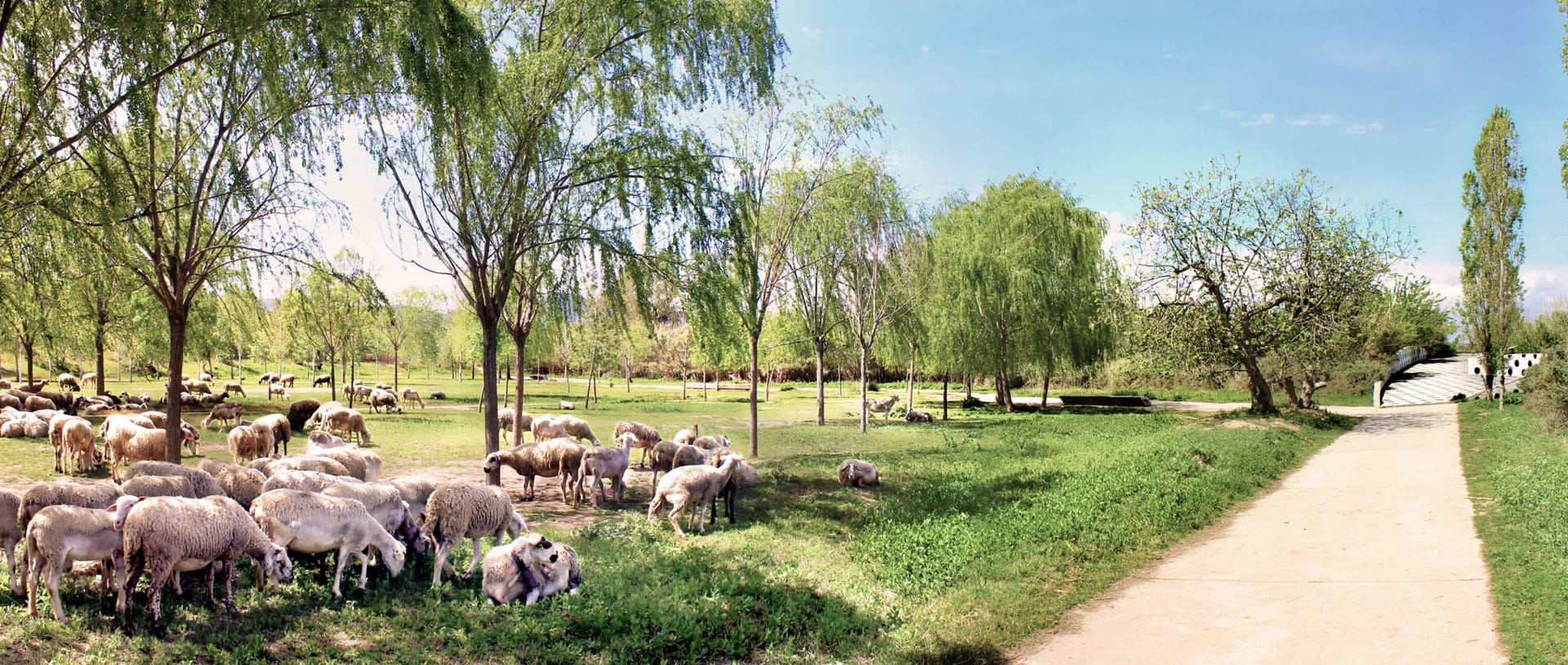 Planes en familia para descubrir la naturaleza en Sant Boi