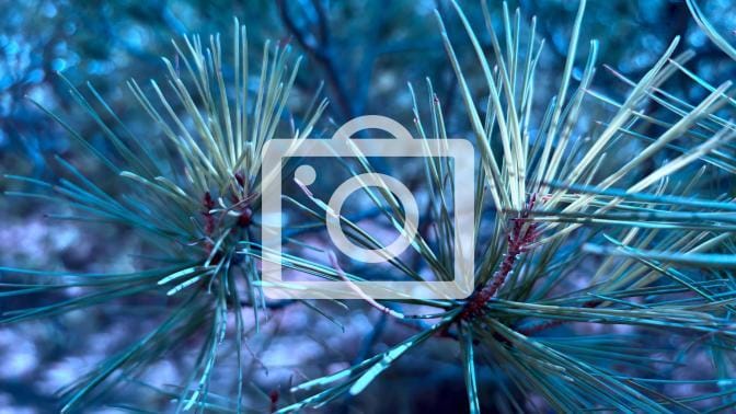 Paseo Sarasate. Historia y modernidad