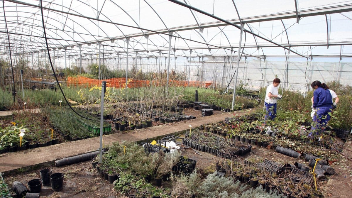 Rincones verdes y secretos ocultos en Valladolid