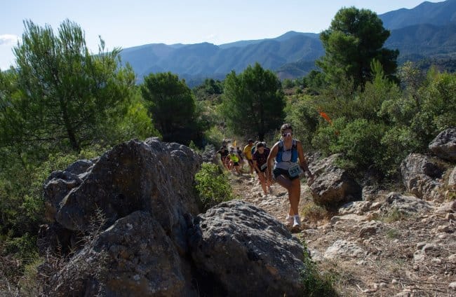 Montsant Wine Run: trail y vino en el Priorat