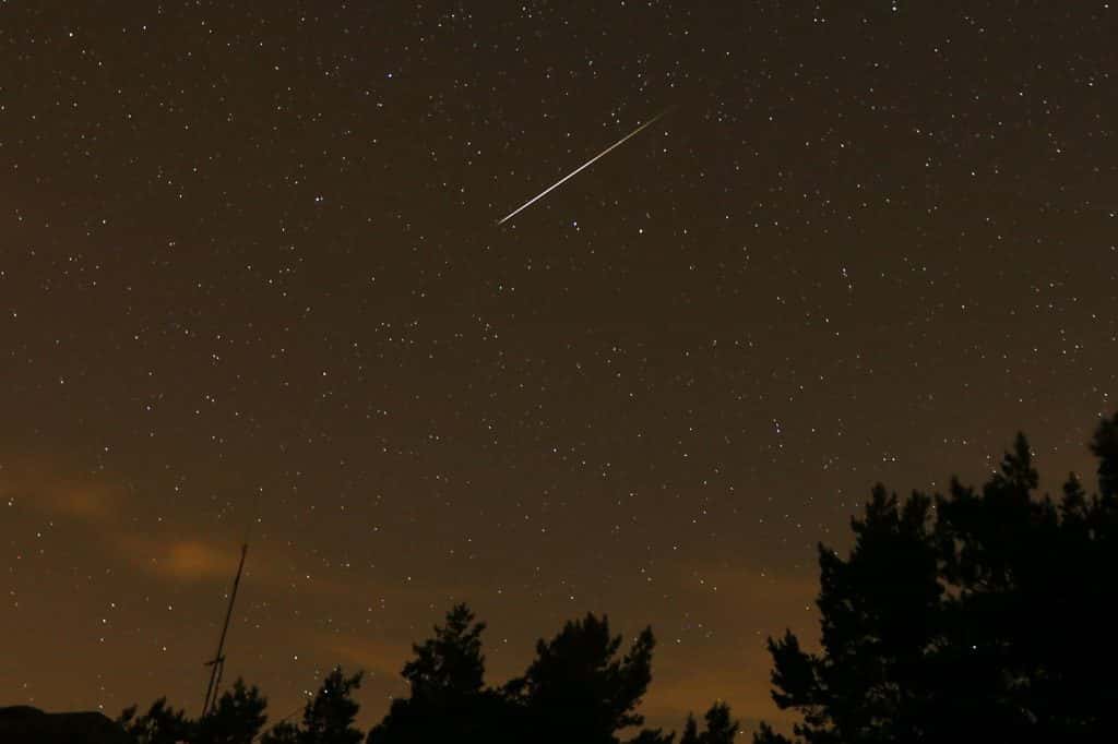 Eclipse and Perseids: stargazing from Halifax