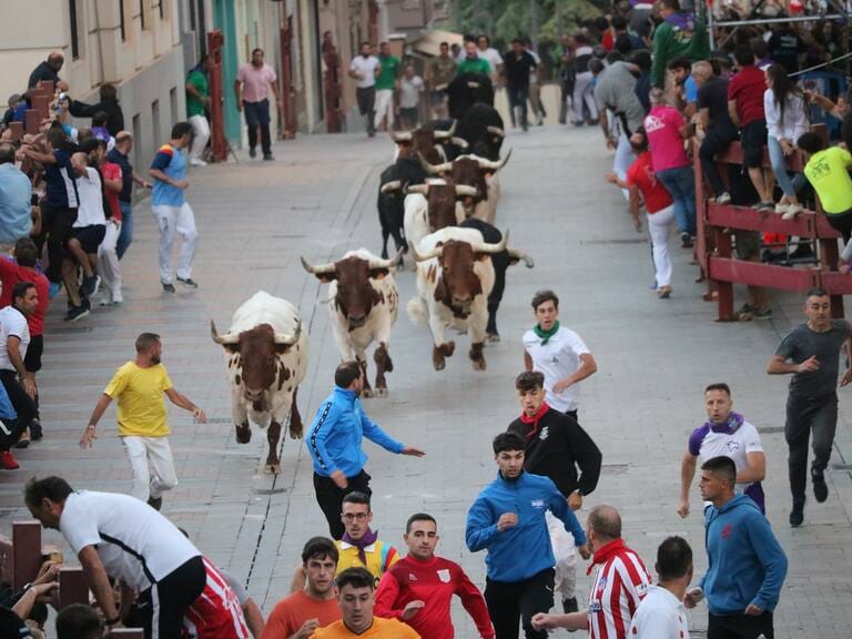 Encierros de Guadalajara: agosto y septiembre 2026