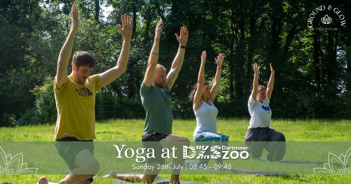 Yoga at Dartmoor Zoo
