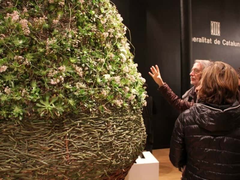 Acció floral participativa Una Flor, un desig