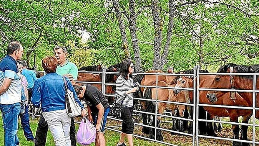 Feria del Caballo de Gorbeialdea en Ondategi