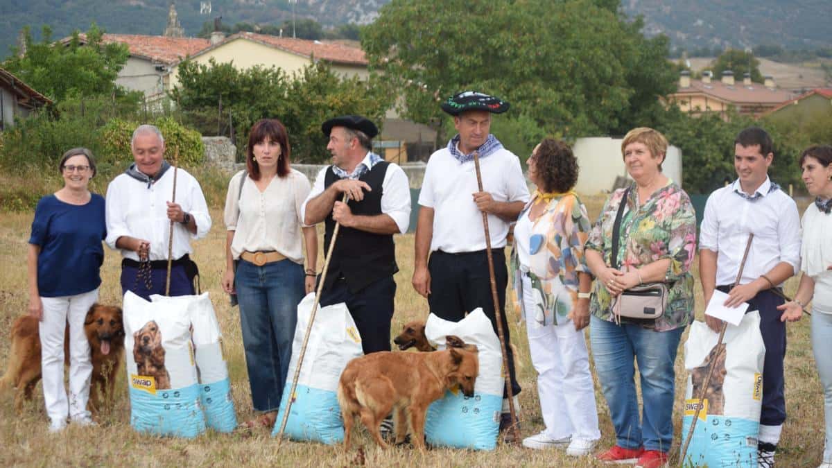 El Artzain Eguna de Araia: queso, perros y tradición
