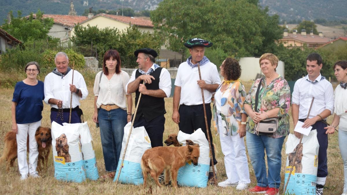 El Artzain Eguna de Araia: queso, perros y tradición