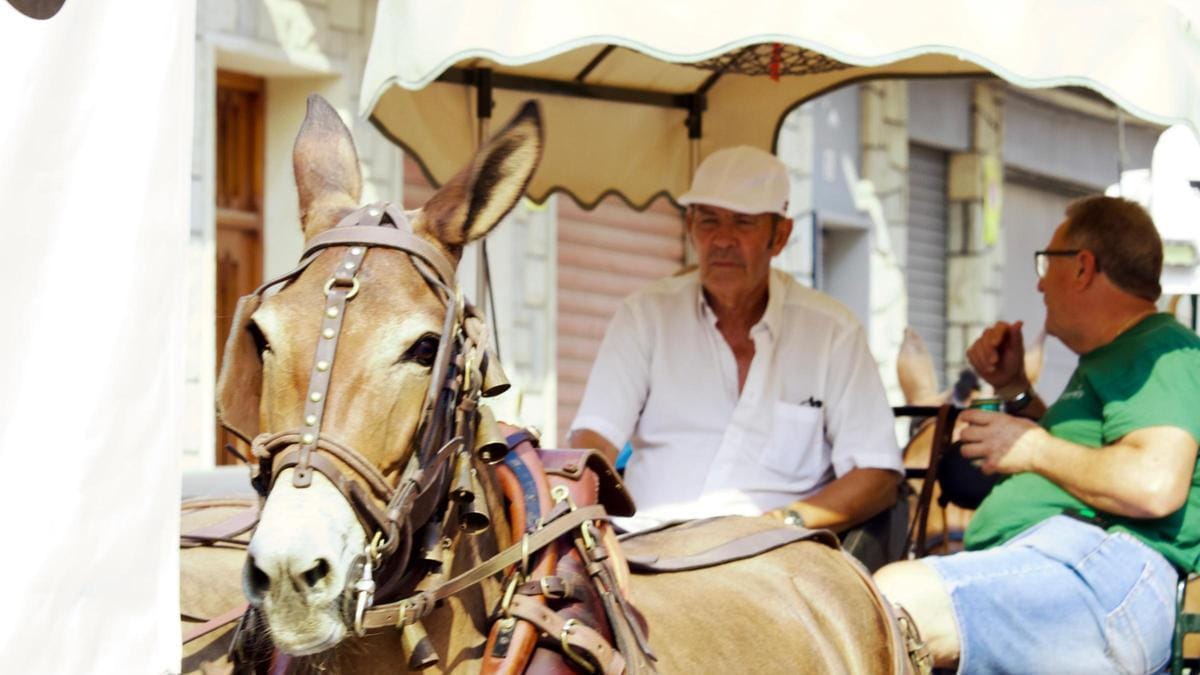 La Fireta de Sant Jaume cerró con carros hasta la playa