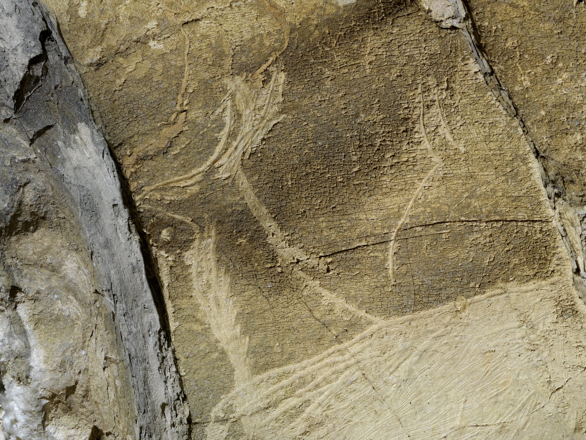 Nuevos datos interdisciplinares sobre la cueva con arte paleolítico de Altxerri (Aia, Gipuzkoa)