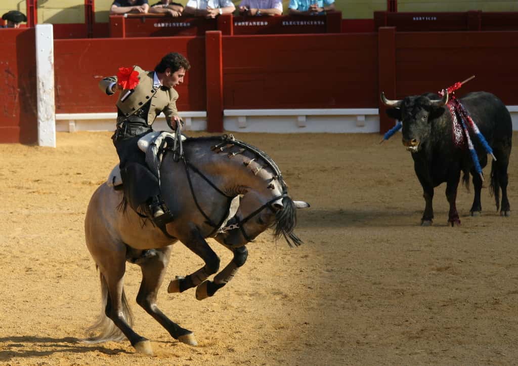 Corrida de toros de El Capea