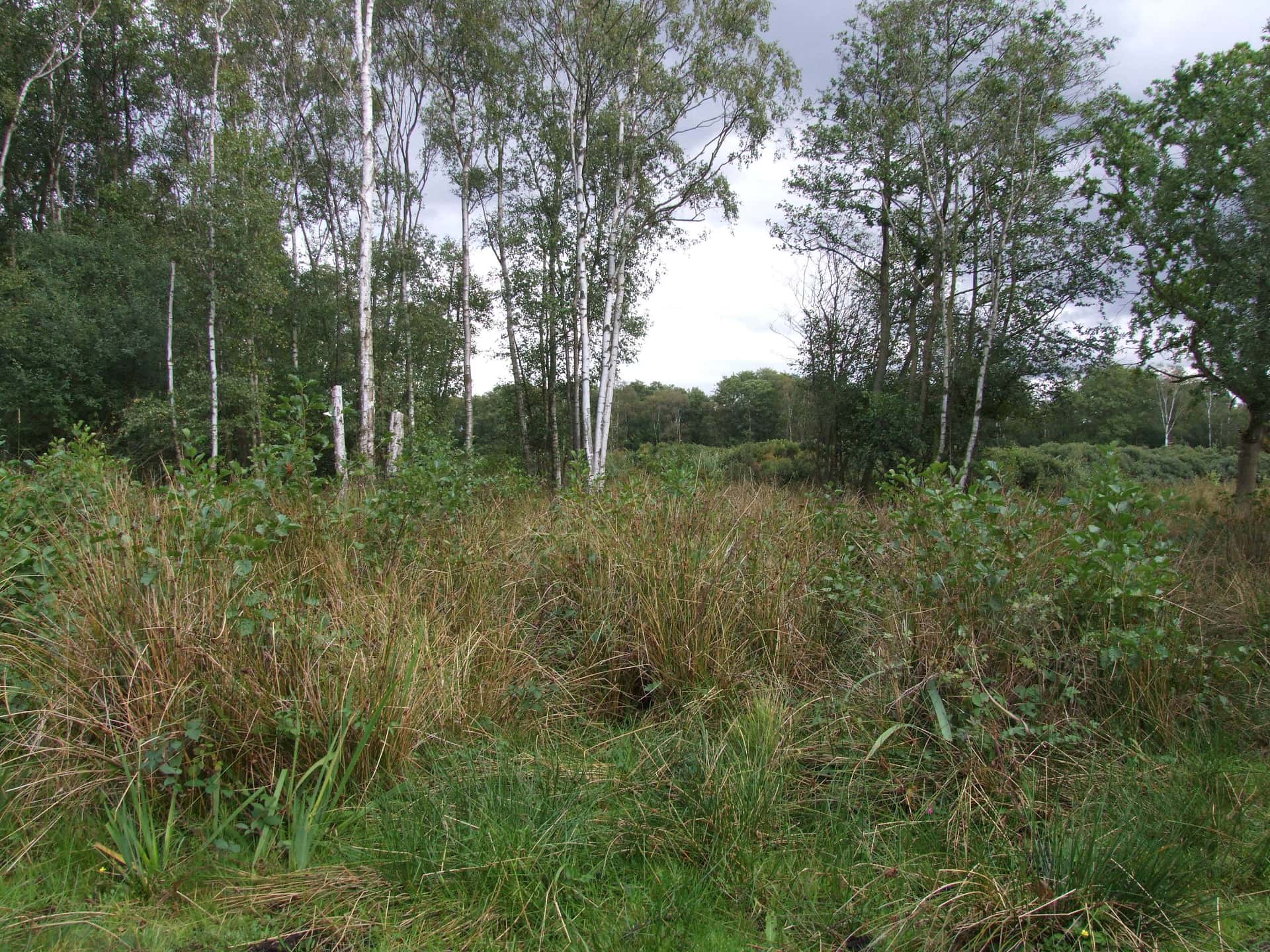 Askham Bog Reopens After Major Makeover