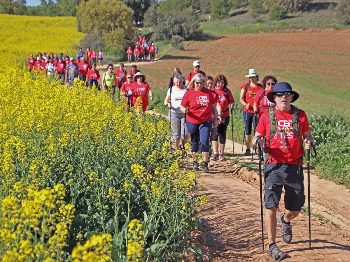 El Camino de Cervantes: ruta familiar de 9 kilómetros