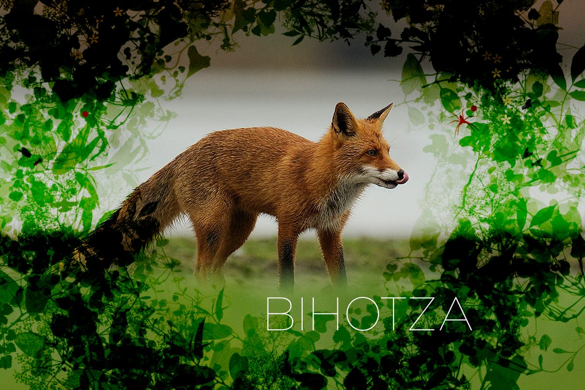 Bihotza, la vida en Álava como nunca la habías visto