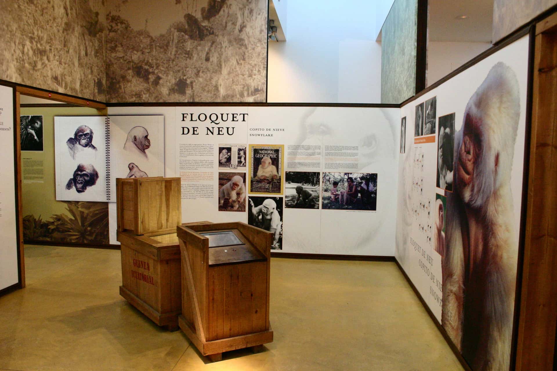 Floquet: Revisitar una icona