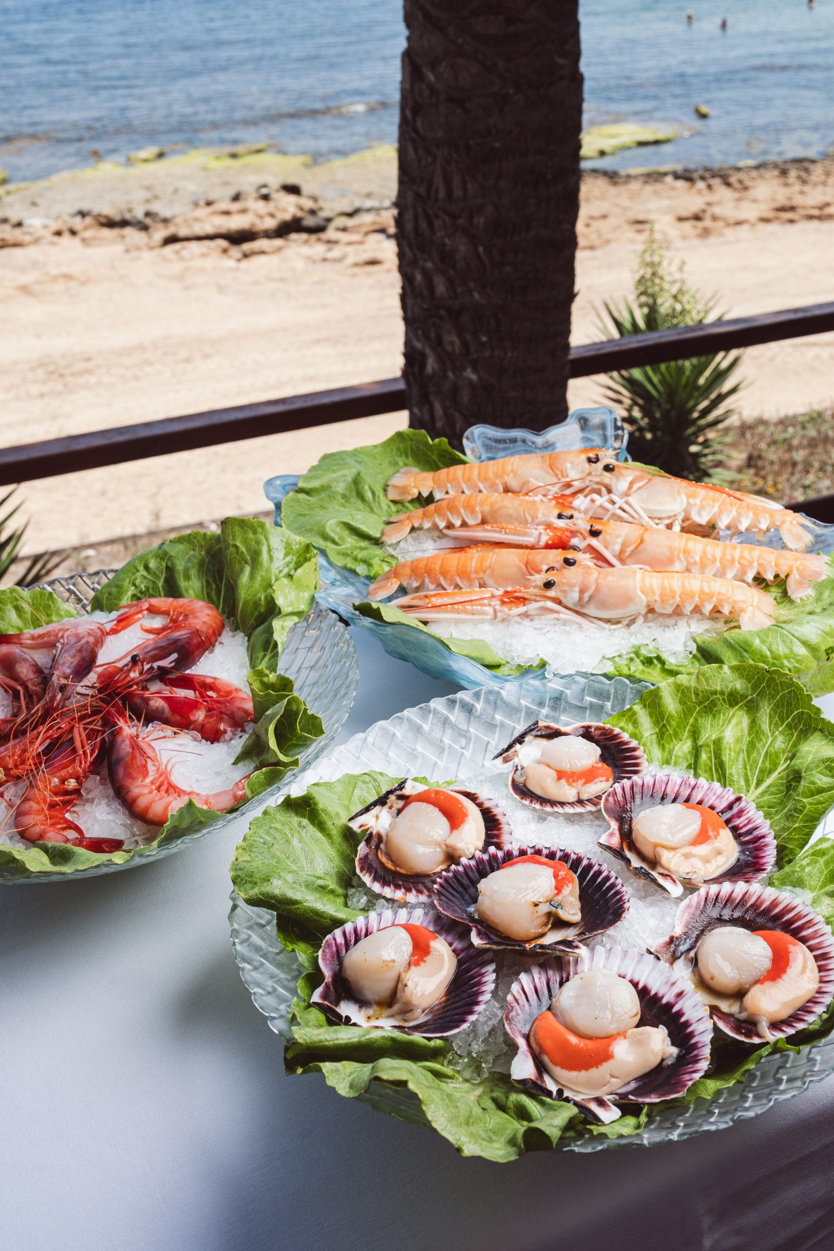 Barlovento: cocina marinera en Cabo Cervera
