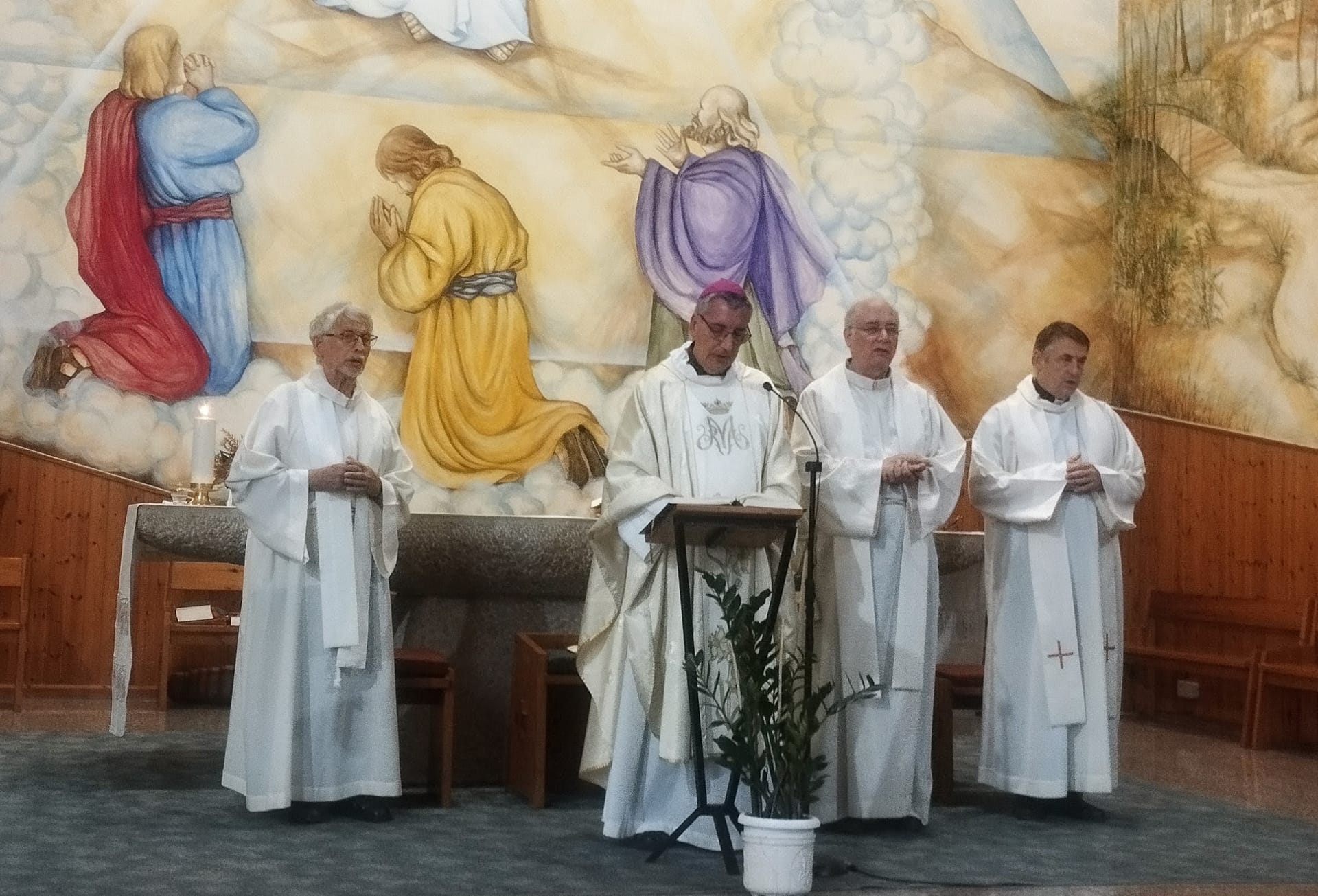 La Festa Major de Pardinyes se despidió el domingo
