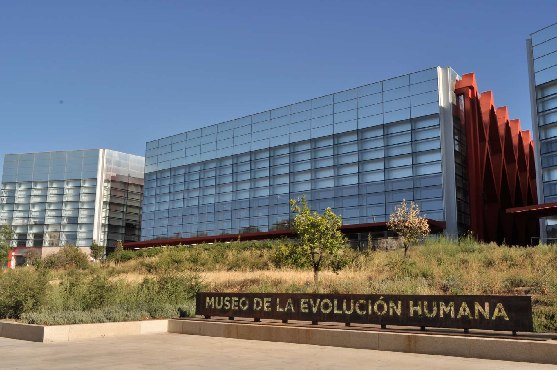 Atapuerca: el nivel sin humanos y su fauna