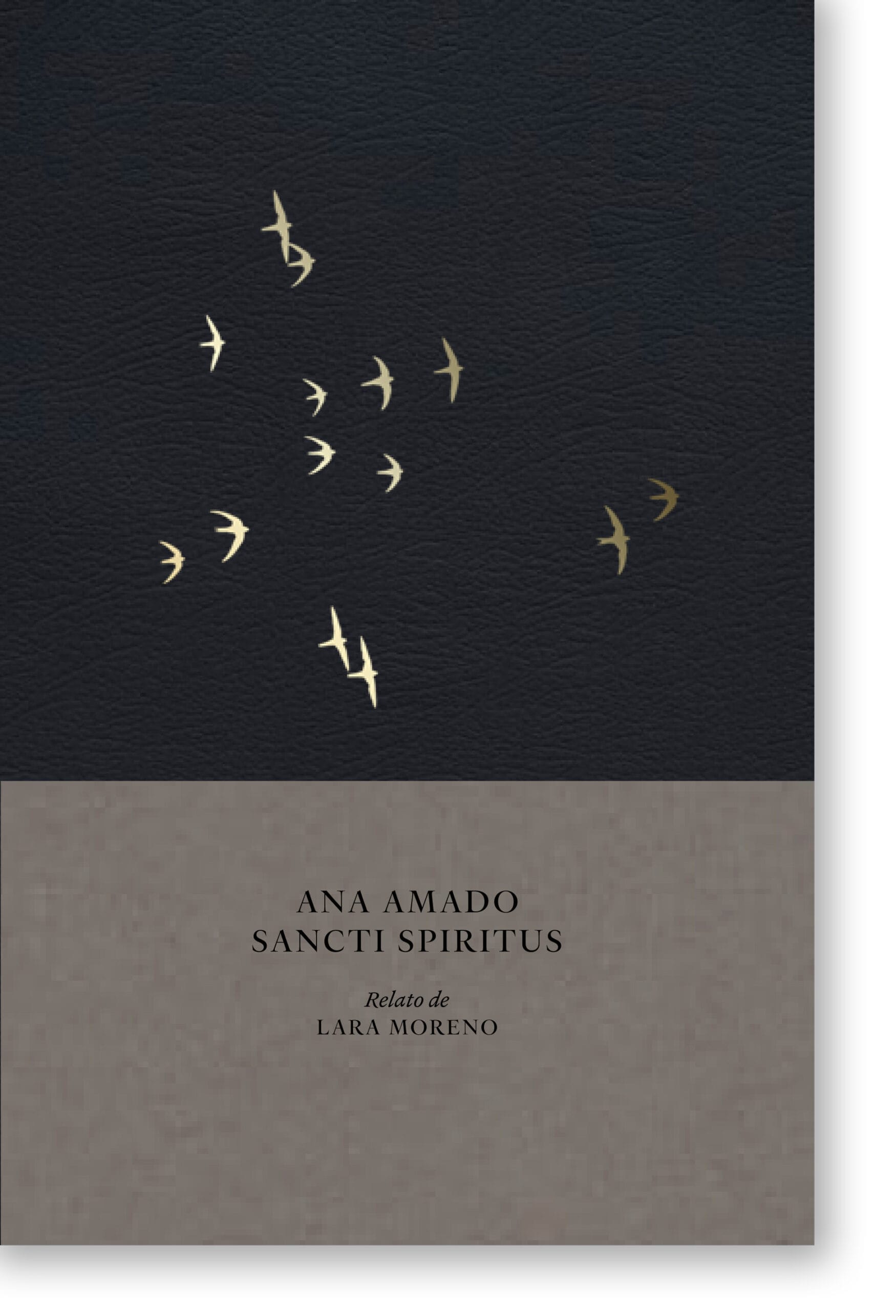 Presentación del libro 'Sancti Spiritus' de Ana Amado