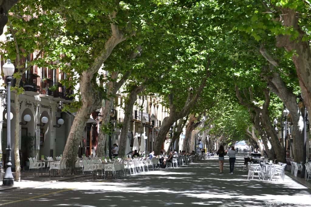 Dénia Stock 2026: el comercio local sale a la calle