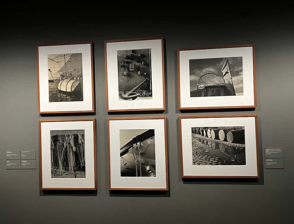 Día Mundial de la Fotografía: Minow White y Tusquets de Cabró