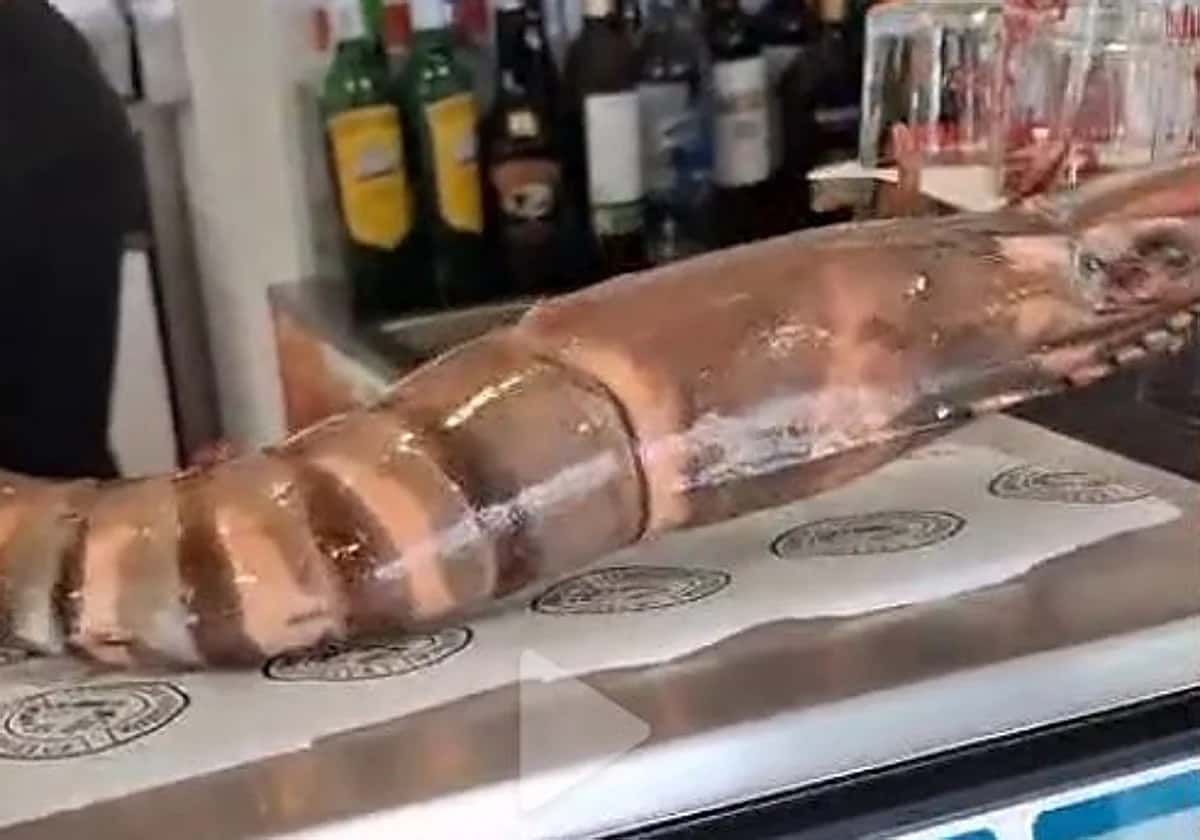 La Gamba de Huelva: marisco, familia y un vídeo viral