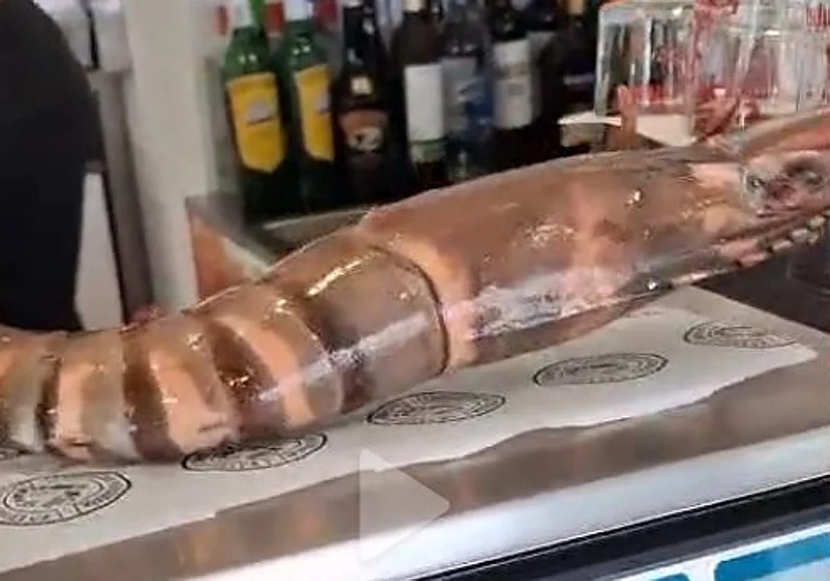 La Gamba de Huelva: marisco, familia y un vídeo viral