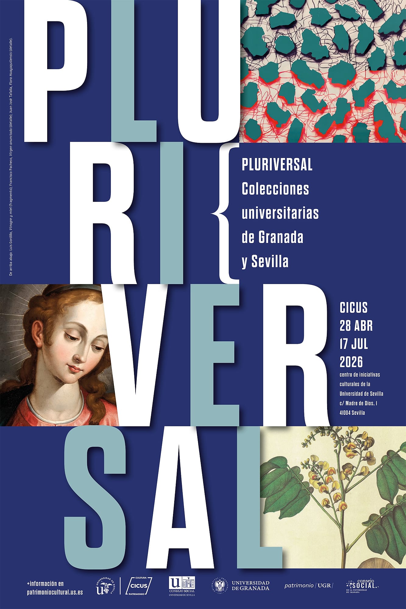 Pluriversal. Colecciones universitarias de Granada y Sevilla