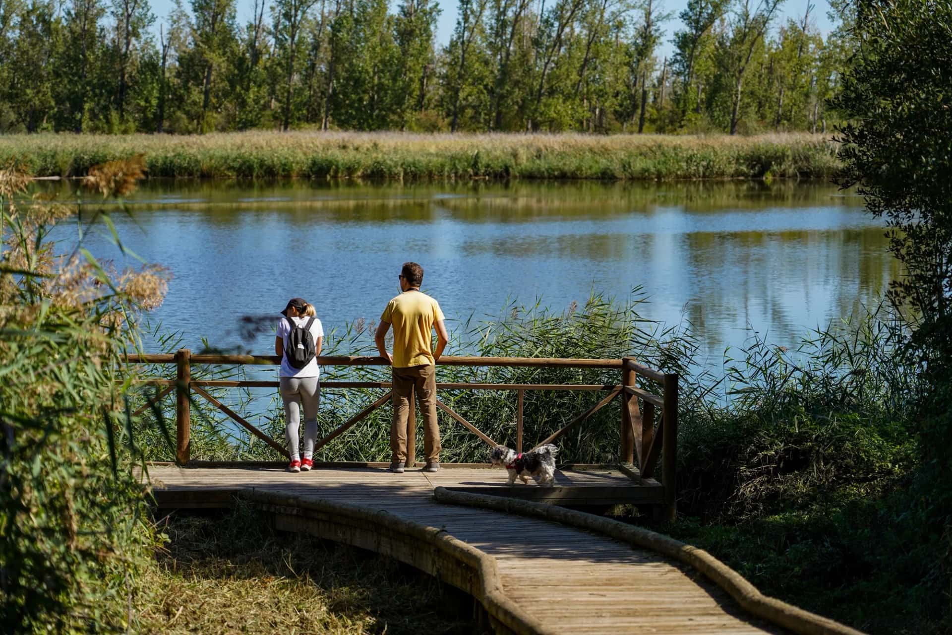 La ruta de los mayos: tradición primaveral en Valladolid