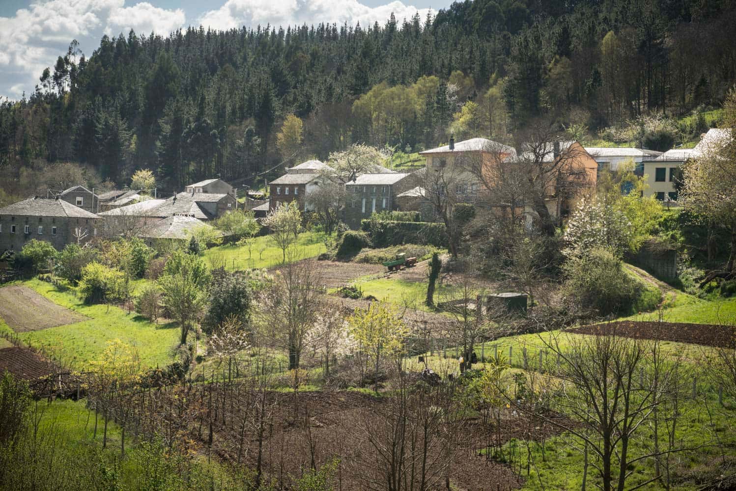 Enoturismo y ciencia rural en Negueira de Muñiz