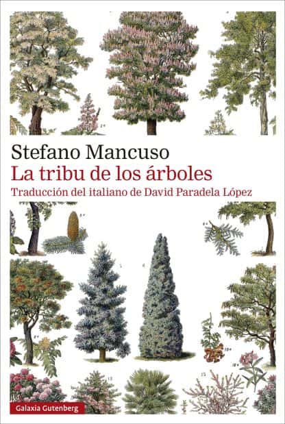 Club de lectura solarpunk: La tribu de los árboles
