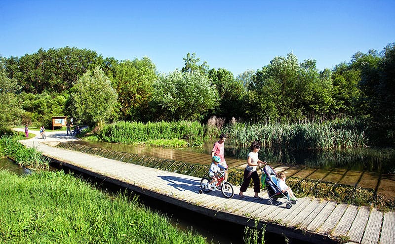 Quedada Camino el Anillo, 3ra etapa