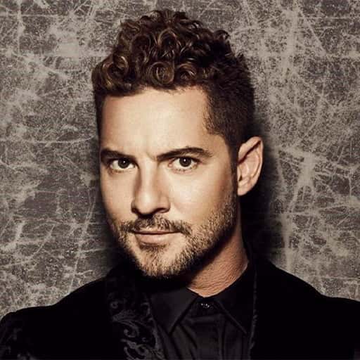David Bisbal - Tour Eternos